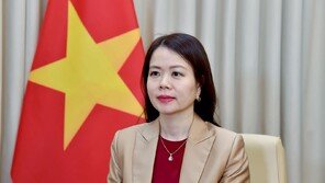 베트남 외교차관 “글로벌 공급망 도전에 韓과 협력 강화할 것”