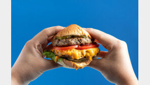 햄버거·쿠키, 겨울에 더 살찌는 느낌? 착각 아닌 사실!