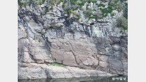 얼음물에 빠져가며 반구대 암각화 지켜낸 정몽준-김영명 부부, 세계유산 등재 기념 특강 개최