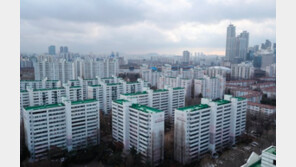 “정부가 방해만 안 하면 재건축 잘될 텐데 답답하다”