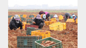 [날씨]낮부터 더 추워진다…강한 바람에 안전사고 유의
