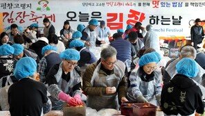 맛과 정을 버무리는 평창고랭지김장축제 5일 개막