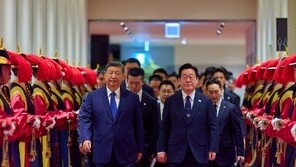 ‘한중 정상회담’에 與 “분명한 협력의 길” 野 “사진뿐인 빈손회담”