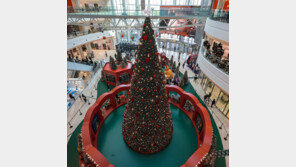 영등포 타임스퀘어에 13m 높이 크리스마스트리