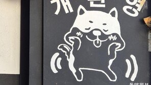 [고양이 눈]“어서 들어오세요”