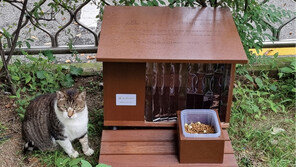 [서초구] 산뜻해진 길고양이 급식소