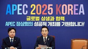 與, ‘李 재판중지법’ 공식화… 이달 우선처리 내비쳐