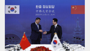 한중 70조원 규모 통화스와프 체결… ‘보이스피싱-스캠’ 공동 대응하기로