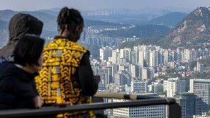 10·15 대책 여파로 서울 아파트 매수심리 9주 만에 꺾여