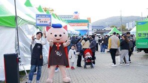 대박난 홍성 ‘글로벌 바비큐 페스티벌’…4일간 60만명 다녀가