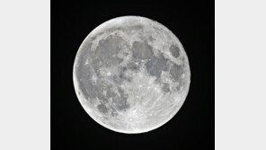 좌구산 천문대 슈퍼문 온라인 생중계