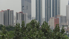 ‘한국서 가장 큰 나무’ 바뀌었다…38.97m 기록한 이 나무