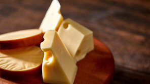 “치즈 단순한 간식 아냐…주 1회 먹으면 치매 위험 24% 감소”