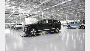 현대차 美 판매량 13개월만에 감소…EV 세제혜택 만료 여파