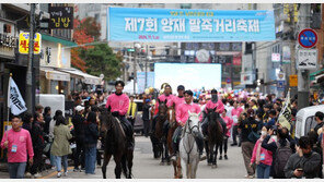 제8회 양재 말죽거리 축제 개최…AI 로봇말·‘사이버트럭’이 한 자리에