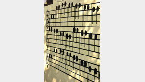 [고양이 눈]벽 위의 악보 한 장