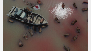 국경 건넌 눈물 K스크린 흐른다