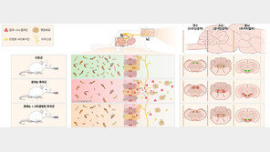 당뇨병약, 파킨슨병 진행속도 늦춘다…“장내 염증 조절”