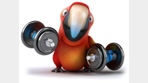 “비만·당뇨 잡는 데는 달리기보다 근력 운동이 더 낫다”