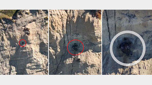 바닷가 절벽서 미끄러진 반려견, 중간 바위에 떨어져 ‘아찔’…20분만에 구조