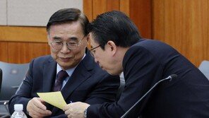 국정원 “김정은, 물밑서 美와 대화 대비… 내년 3월 정상회담 분기점”