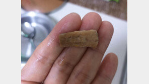“니코틴 냄새 진동”…중국산 냉동 해물서 나온 담배 꽁초