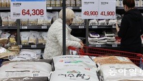 쌀값 21%-고등어 11% 껑충… 10월 물가 2.4% 올라 15개월새 최대