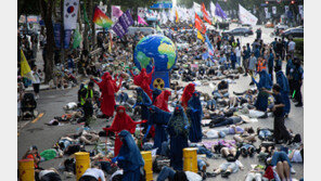 ‘지구의 허파’ 아마존, 대기질 악화…초미세먼지 WHO 권고치 7배