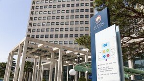 中광군제·美블프 온다…관세청, ‘불법 해외직구’ 특별단속