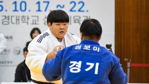 굵직한 스포츠대회로 뜨거운 ‘제주의 11월’