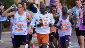 한국소비자원이 선택한 러닝 재킷 가성비 1위, ‘이 브랜드’였다