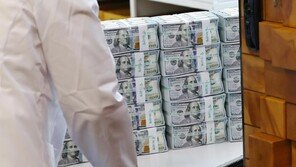 한은 “해외투자 열풍에 순대외자산 급증…원화약세 압력 우려”