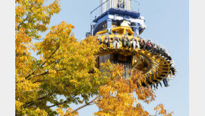 가을 속으로 낙하