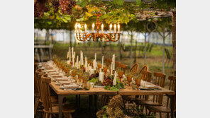 “지치고 외로울 때 마음 속 포도 한 알을 터뜨려 위로받기를” [김선미의 시크릿가든]