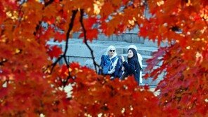 전국 내륙 중심 짙은 안개 ‘주의’…큰 일교차 이어져