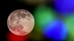 올해 가장 크고 밝은 슈퍼문…밤하늘 장식했다