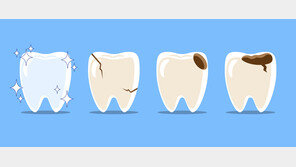 치아 법랑질, 한 번 닳으면 끝? “재생 기술 개발…내년 제품화 목표”