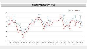 11월 아파트 분양시장 전망 대폭 악화…10·15 대책 영향