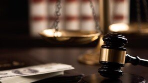 비싼 자전거만 보면…1000만원 MTV등 훔친 60대 징역형