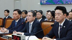 김용범 “대미 투자 연 200억달러 정도는 외환시장 충격 없어…중앙은행과 면밀 분석”