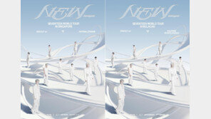 세븐틴, 2년 연속 아시아 주요 스타디움 입성…글로벌 스타 위상