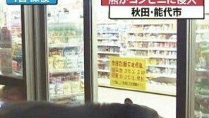 “맨손으로 곰 잡았다” AI 가짜 영상, 日 SNS에 급속 확산…“위험 조장”