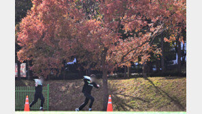 출근길 안개 조심하세요…낮 최고 22도 ‘포근’[내일날씨]