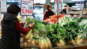 김장 배추-다발무 할인