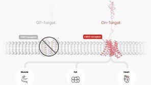 한미약품, 근육 증가 ‘꿈의 비만약’ 세계 최초 美 임상 돌입… 비만 치료 패러다임 전환