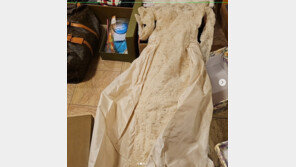 노소영 “37년 살던 시댁서 나간다”…결혼때 입은 웨딩드레스 공개