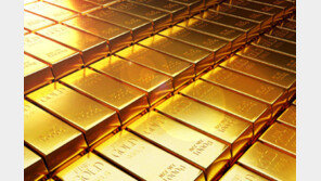 “땅 팠더니 금 나왔다”…수영장 만들다 12억 금괴 발견