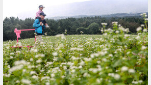 제주, 손주 돌보는 조부모에 월 최대 60만원…내년 시행