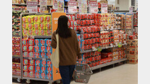 10월까지 K푸드 수출액 110억달러 돌파…라면·김치 등 인기