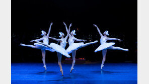 단돈 1만원에 고전발레 만난다…해설이 있는 발레